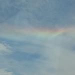 OTRA2014CN_0097 (August 25, 2014)